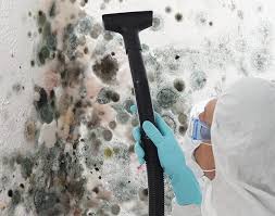 Mold Documentation for Insurance Claims in Blackfoot, ID